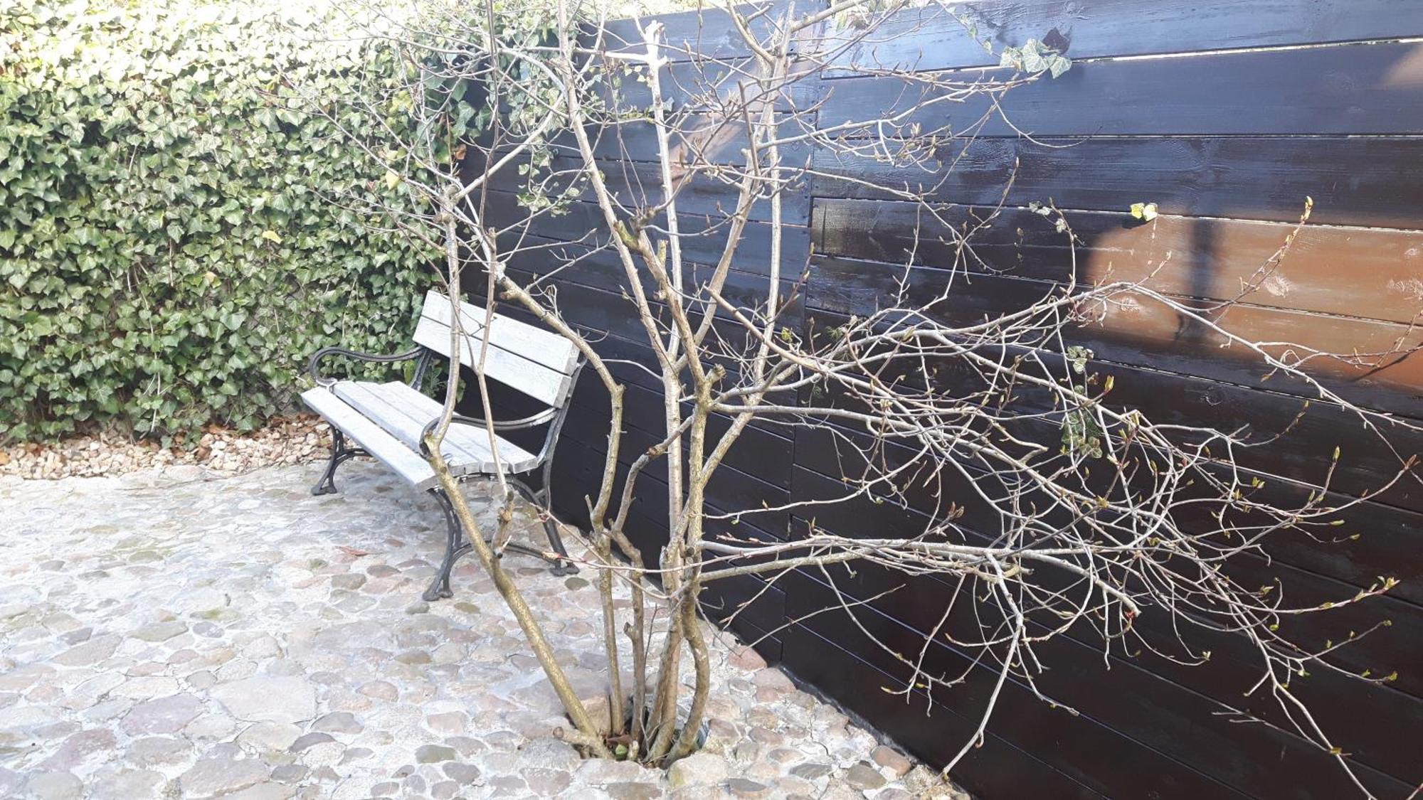 Zacisze Kalwy Apartman Kültér fotó