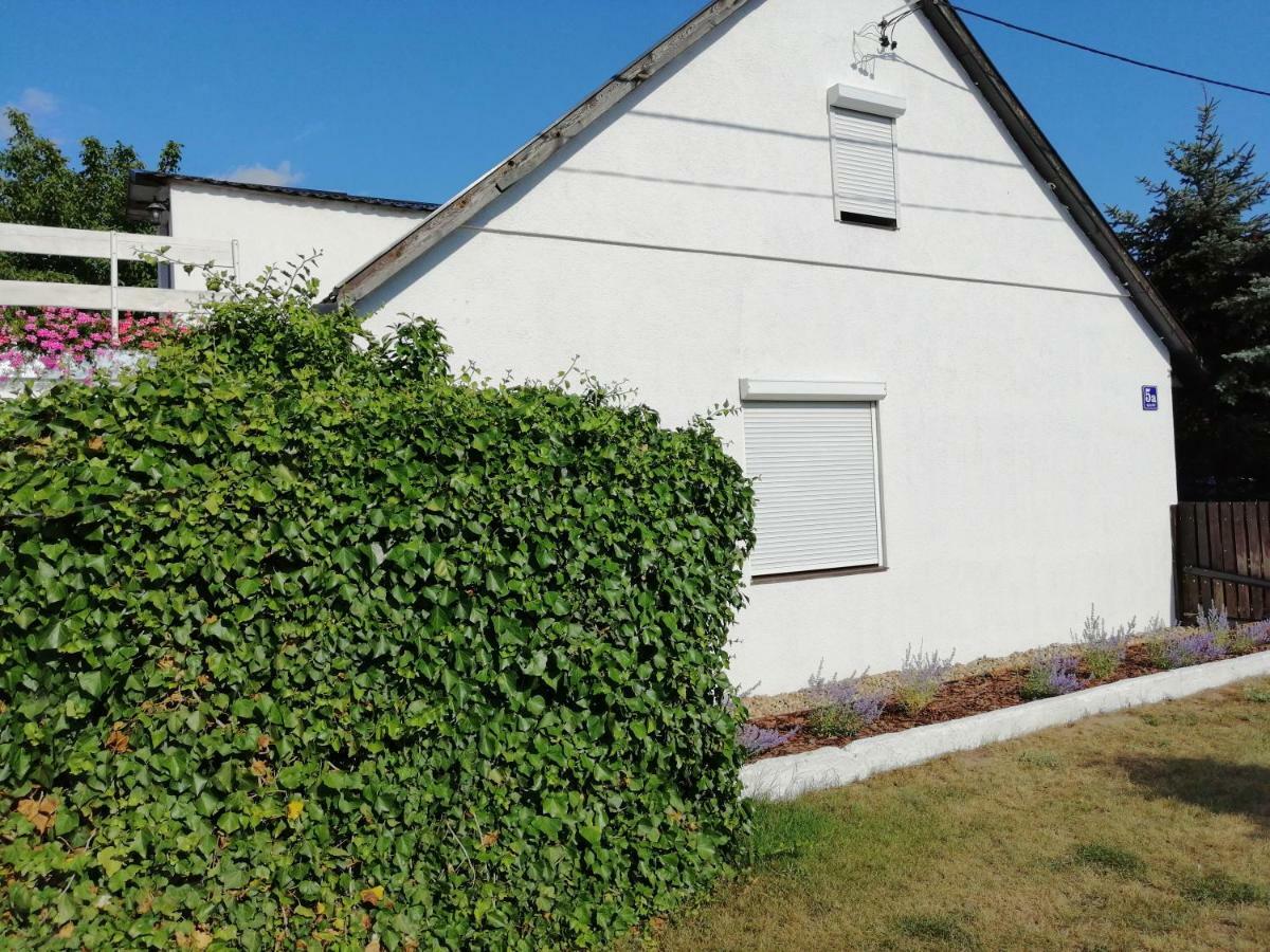 Zacisze Kalwy Apartman Kültér fotó