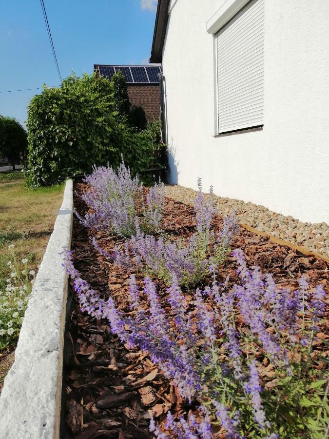 Zacisze Kalwy Apartman Kültér fotó
